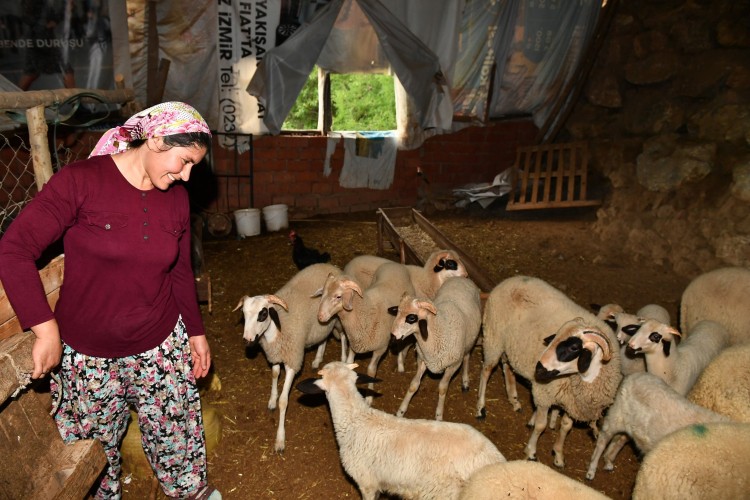 İzmir kırsalında “başka bir tarım” modeli gelişiyor