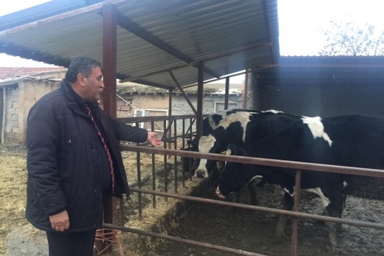 CHP'li Gürer: 'Süt Krizi Kapıda'
