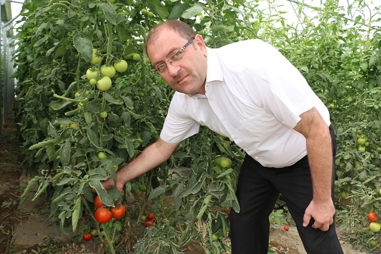 250 Bin TL Hibe Desteği İle 500 Bin TL'lik Sera Kurdu