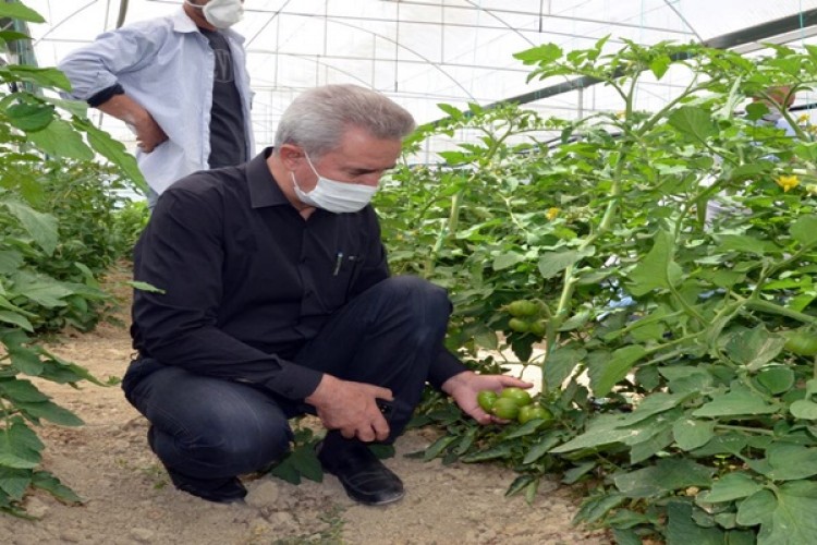 Denizli İl Tarım ve Orman Müdürlüğü Üreticinin Yanında