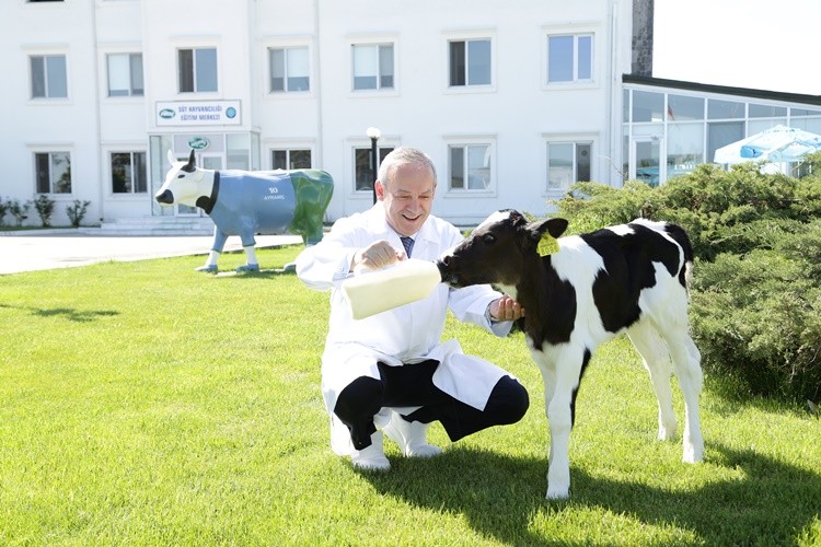 Sütaş, 45 Yıllık Sütaşkı’yla Dünya Süt Günü’nü Kutluyor