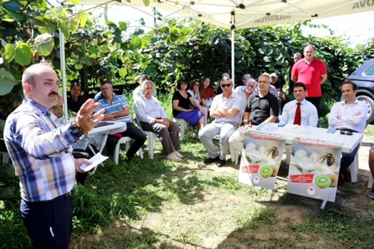 Kiviler Bal Arısıyla Daha Da Değer Kazanacak