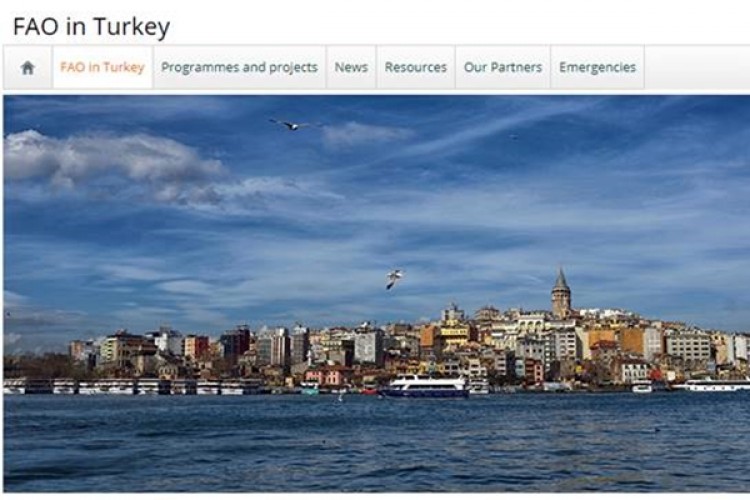 FAO, Türkiye Ülke İnternet Sitesini Açtı!