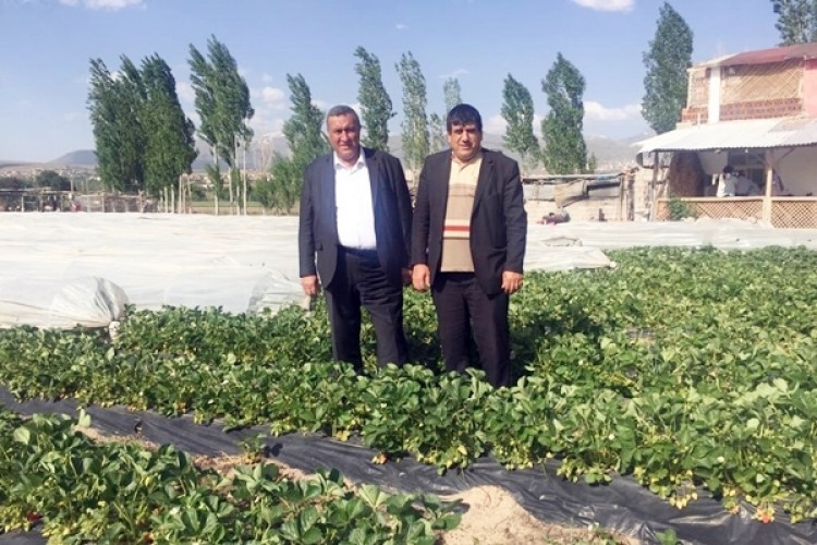 Gürer’den Tarım Bakanlığına Çağrı: Aile Tipi İşletmelere Yönelin