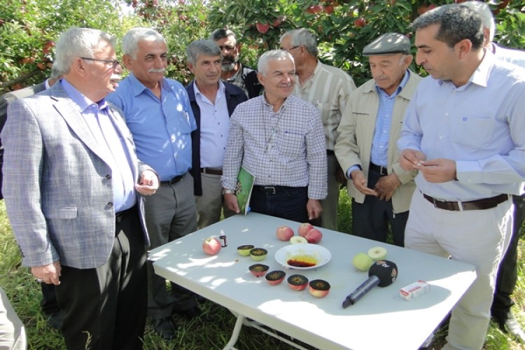 Doğanşehir’de 20 Bin Ton Elma Üretimi Bekleniyor