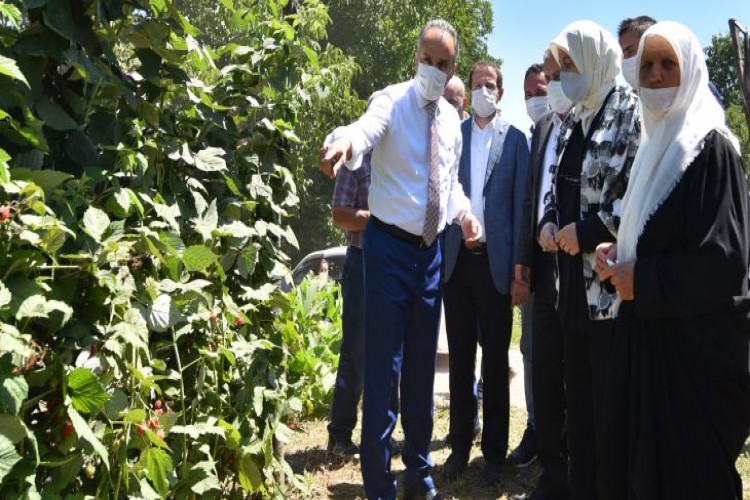 Büyükşehir destekliyor, çiftçi kazanıyor