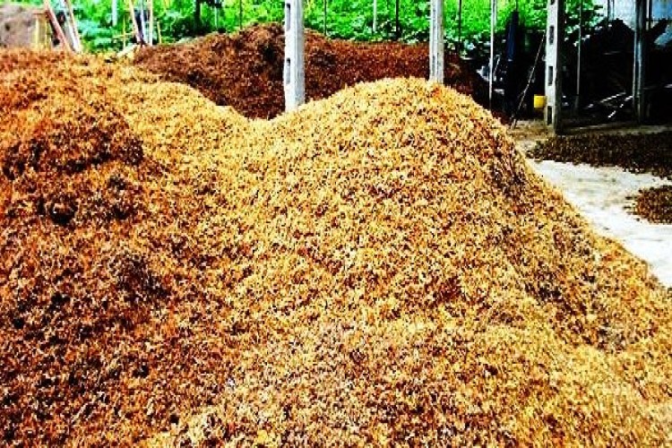Doğal Gübre Olarak Fındık Zurufu Kompostu