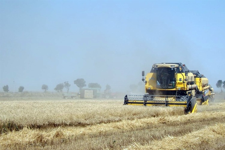 Tarım ÜFE Temmuz ayında %1,71 arttı