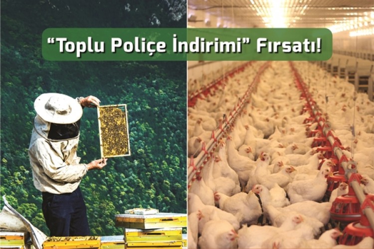 Arı Yetiştiricileri Ve Kanatlı Hayvan Üreticilerine 'Toplu Poliçe İndirimi' Fırsatı