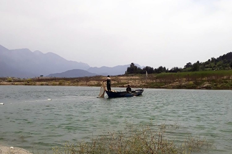 Karacaören 1 Baraj Gölünden Yeni Gelir Kapısı; Gümüş Balığı Avcılığı