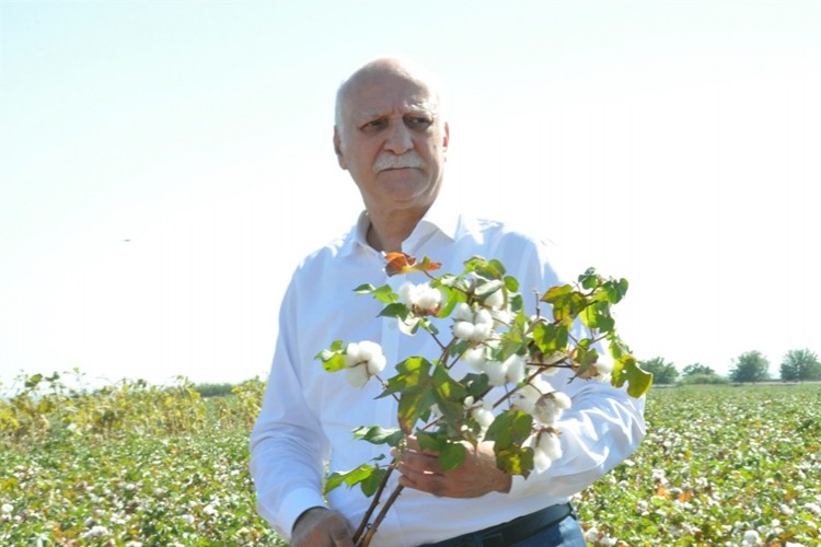 Bayraktar: Pamuk Fiyatları Son Bir Yılda Yüzde 26 Geriledi