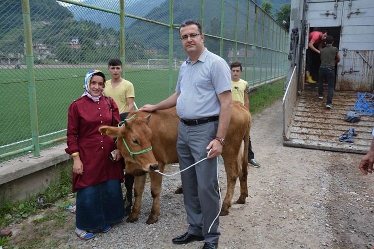 Genç Çiftçilere Büyükbaş Hayvan Dağıtımı Yapıldı