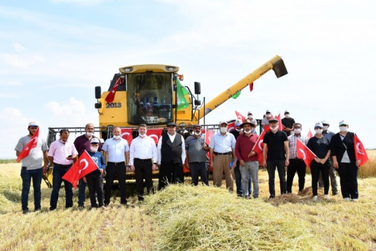 Belediye Başkanı Evren Dinçer, Biçerdöverle Hasat Dönemini Başlattı