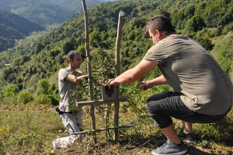 Son İki Ayda 20 Hayvanları Telef Oldu