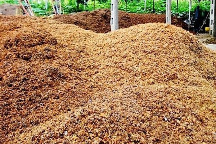 Fındık Zurufu, Kompost Yapılarak Bahçelerde Gübre Olarak Değerlendirilmeli
