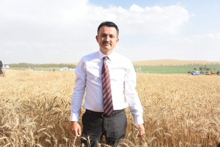Pakdemirli: Buğday Fiyatları Üreticimizi Genel Manada Memnun Etmektedir