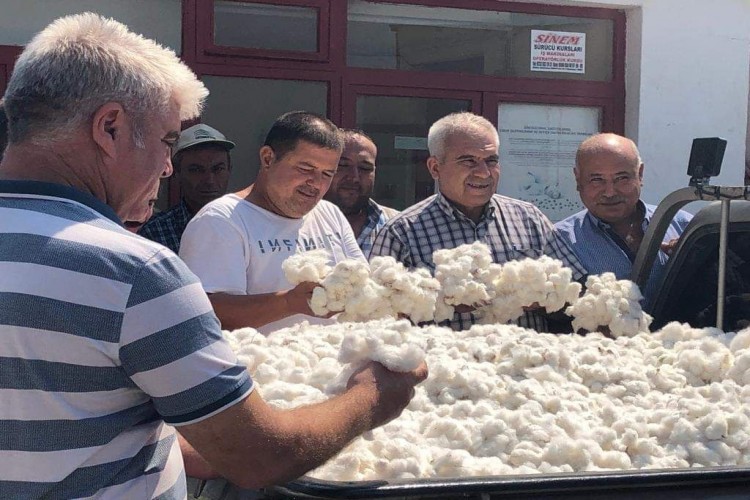 Beyaz Altından Kötü Haber! Böyle Giderse Seneye Pamuk Ekimi Azalabilir