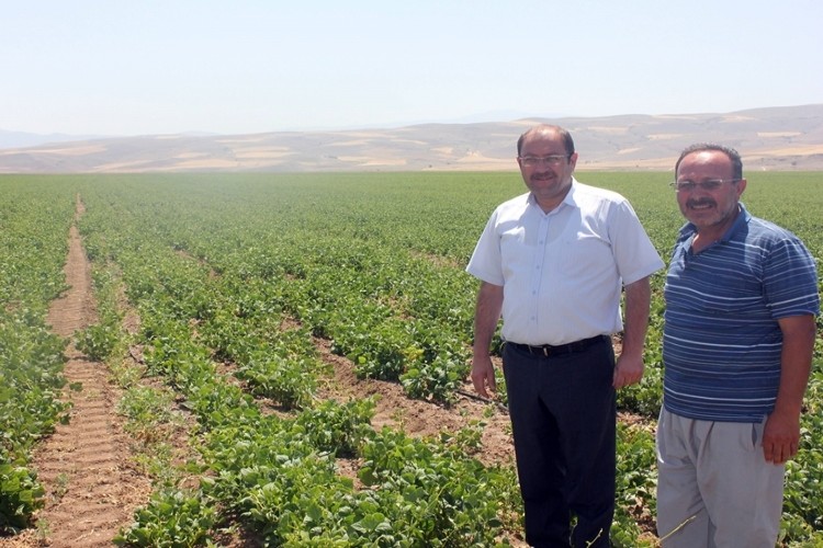 Erzincan'da Tarım Sektörüne Yatırımlar Sürüyor