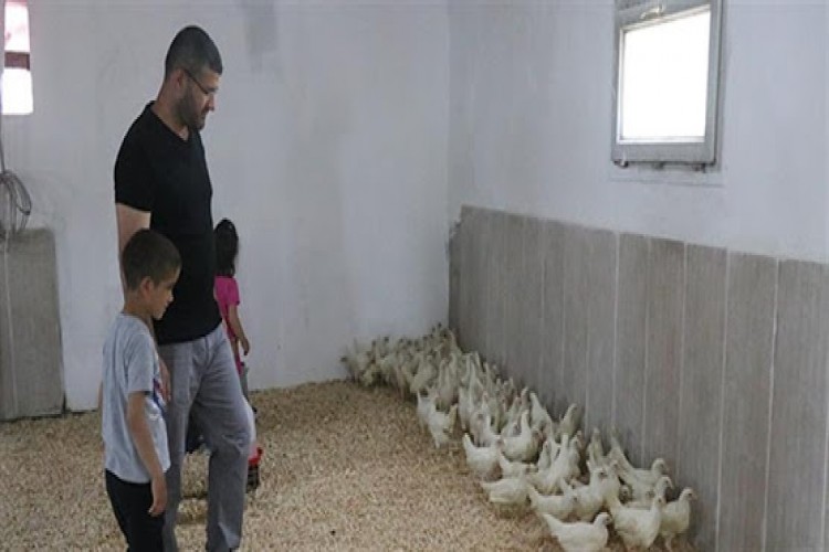 Kümesi yanan üreticiye Babalar Günü'nde bin 200 tavuk hediye edildi