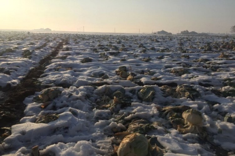 Meteorolojiden Kar Yağışı Uyarısı!