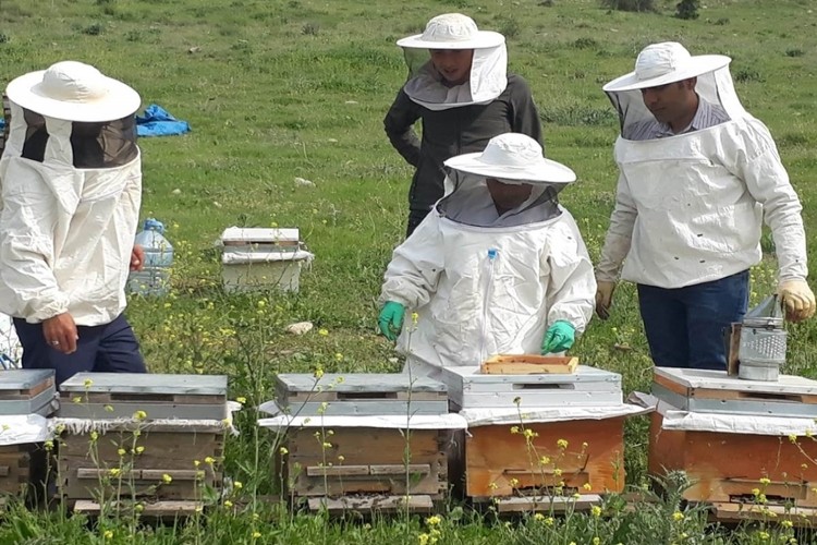 Şirvan’da "Arı Yetiştiriciliği" Kursu Gerçekleştirildi