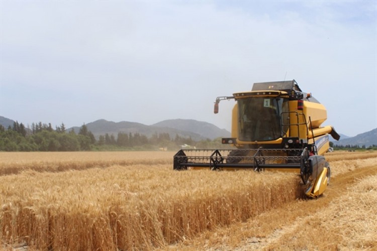 Tarım ÜFE Temmuzda Yüzde 1,06 Azaldı