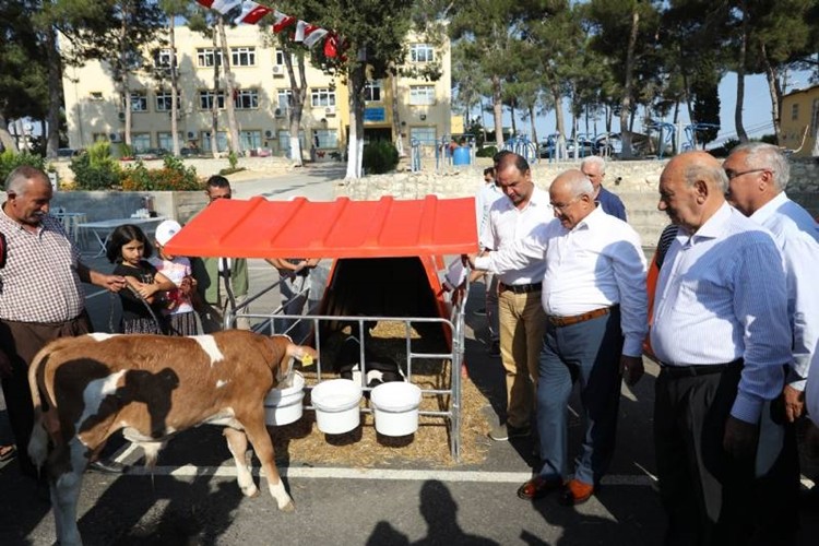 Mersin Büyükşehir’den Buzağı Barınağı Desteği