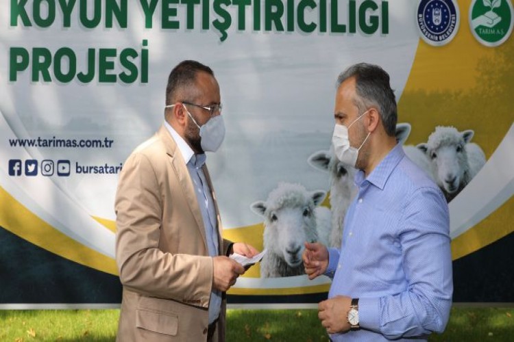 Bursa Büyükşehir Koyun Yetiştiriciliği Projesi'ni başlattı.