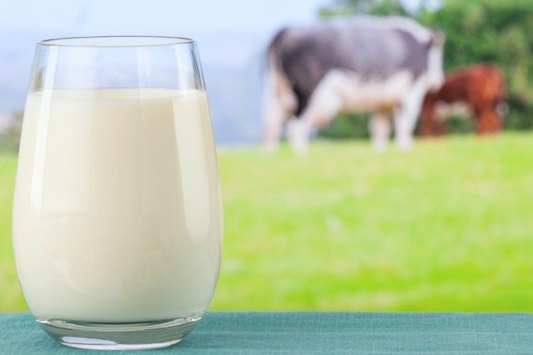 Çiğ Süt Referans Fiyatında Yüzde 15 Artış Yapıldı
