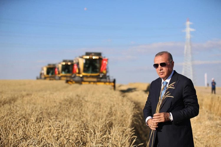 Hububat Alım Fiyatını Cumhurbaşkanı Erdoğan Açıklayacak