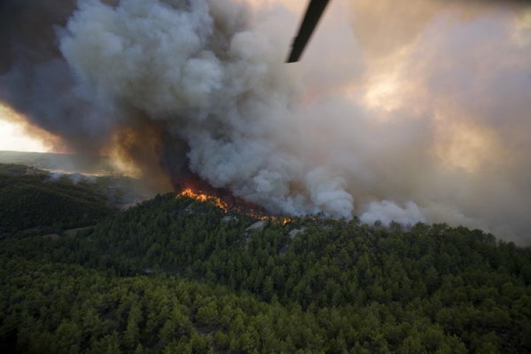 Bu Yıl Orman Yangınlarında 5 Bin 469 Hektar Alan Zarar Gördü