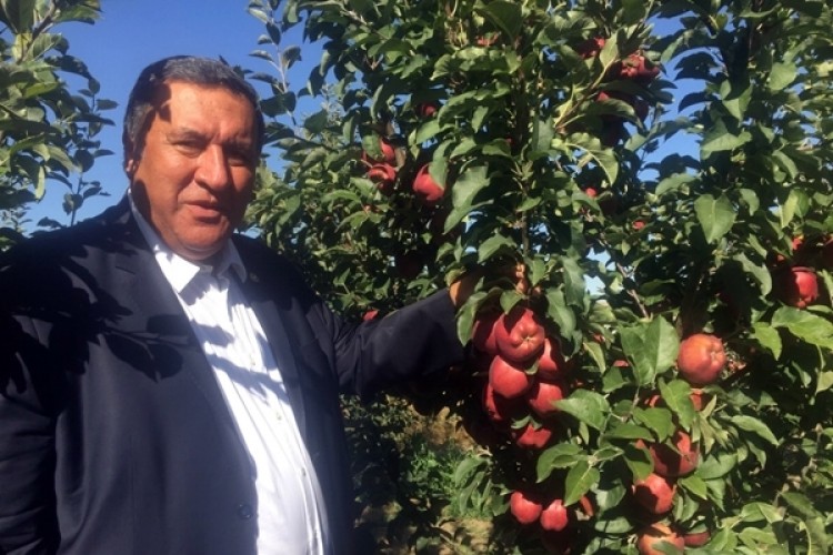 Gürer: Elmalar Dalda Kaldı, Üretici İçin Süre Daralıyor