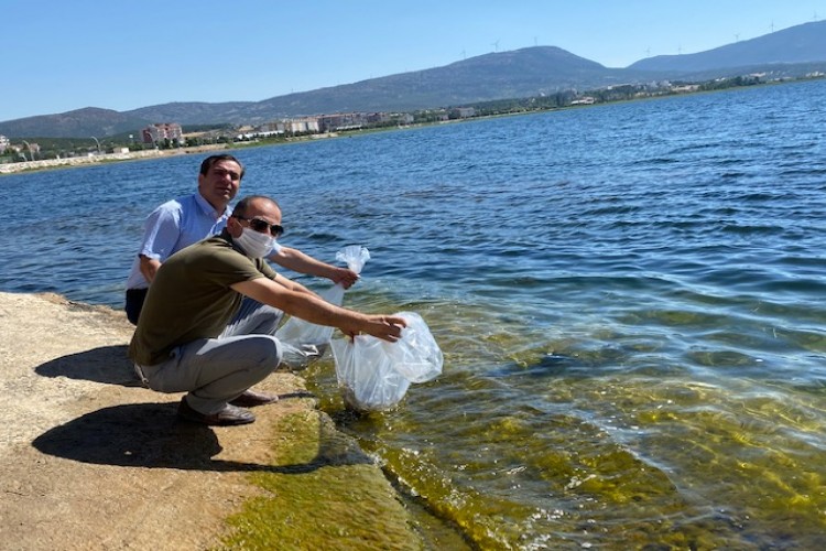 Beyşehir Gölü’nde balıklandırma çalışması yapıldı