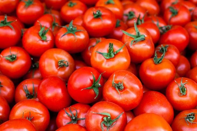 Rusya Tarım Bakanlığı, Türk domatesinin kotasını artırmayı planlıyor