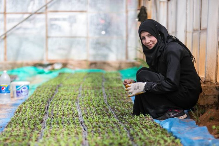 Tarıma Yatırım Suriye’nin Geleceği İçin Hayati Önemde