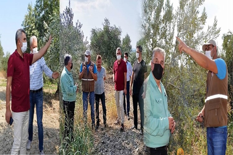 Hasat Öncesinde Zeytin Üreticilerine Ziyaret