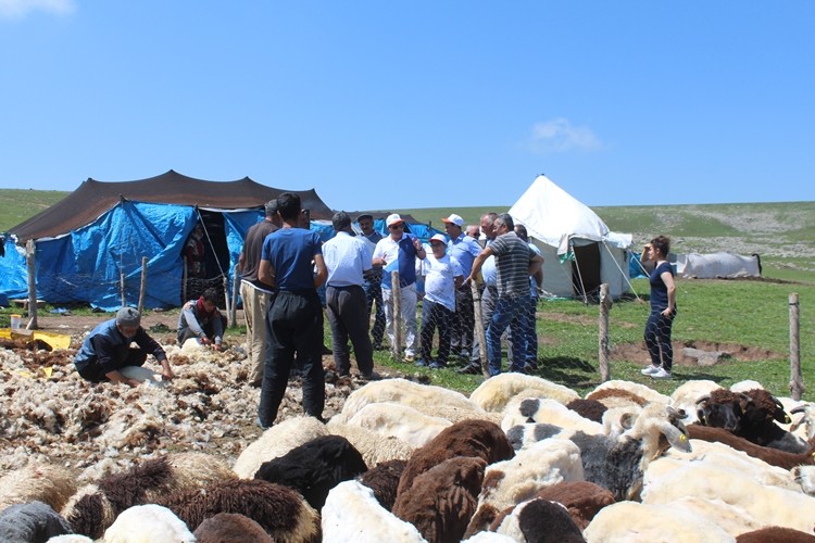 Tarım ve Orman İl Müdürü Göçerlerin Sorunlarını Yerinde Dinledi