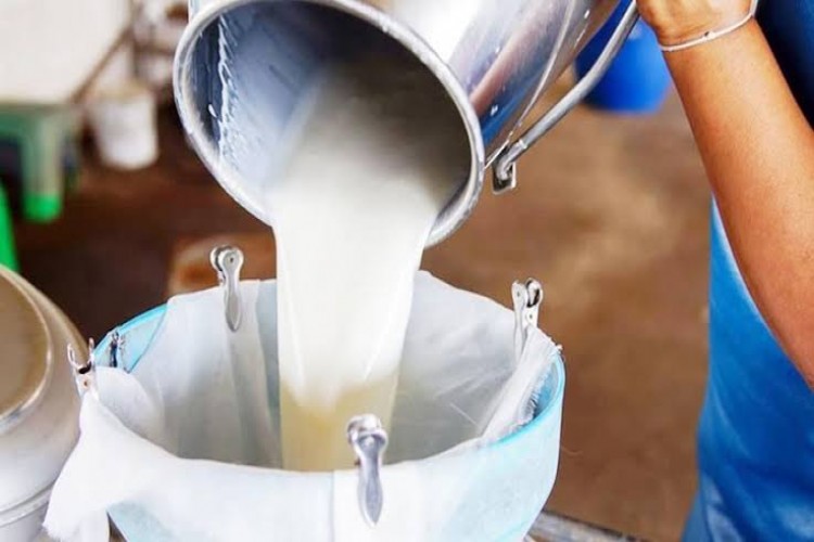 Çiğ Süt Ve Tiftik Üretimi Destek Ödemeleri Bugün Yapılacak