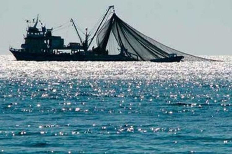Balıkçılıkta Uygulanan Para Cezalarında Düzenleme Yapıldı