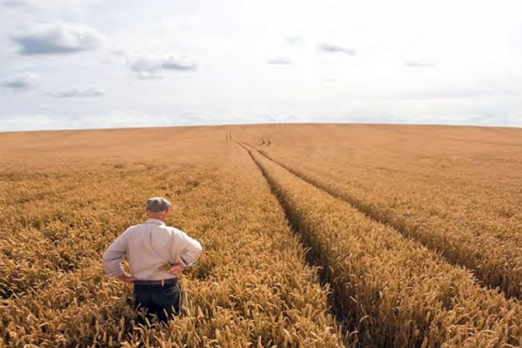 “Makarnalık Buğdayımızın Yüzde 100’ünü Türk Çiftçileri Üretiyor"