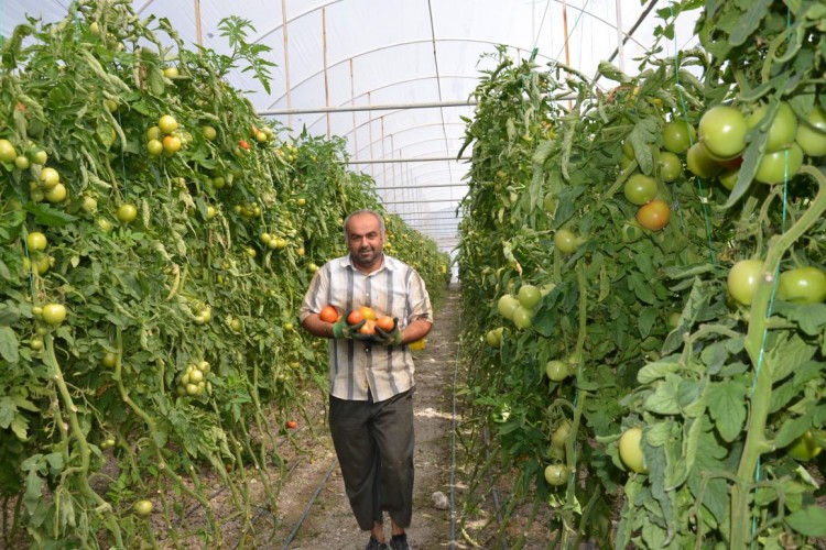 Yayla Seracılığında Yüzler Gülüyor