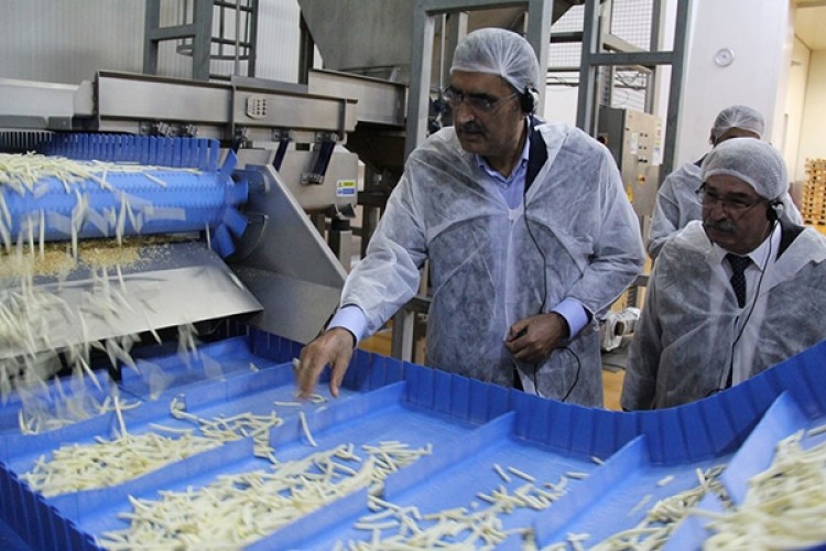 Konya’nın Patates Üretimi 10 Yılda 3’e Katlandı