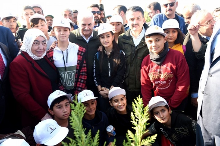 Bakan Pakdemirli İle Binali Yıldırım, Öğretmenler Adına Fidan Dikti