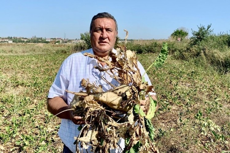 Gürer: “Şeker Fabrikalarında Kampanya Dönemi Başlamasına Rağmen Taban Fiyat Neden Belli Değil?”