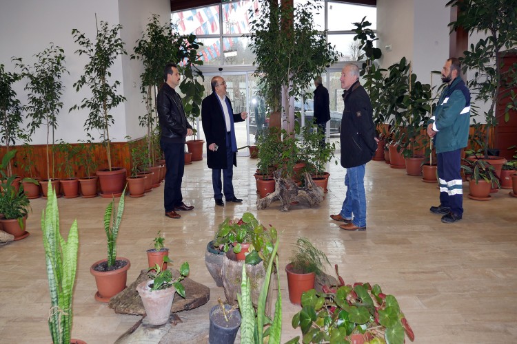 Bitki Kütüphanesi' Tamam, Sırada 'Kök Müzesi' Var