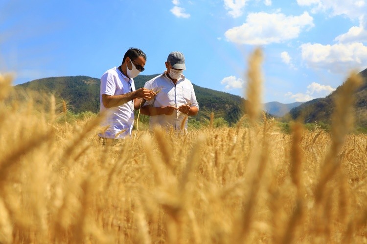 Büyükşehir Destekliyor, Muğlalı Çiftçiler Üretiyor