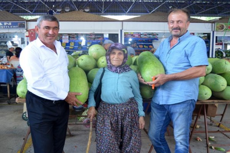 Kadınbudu Karpuzu İlgi Çekiyor