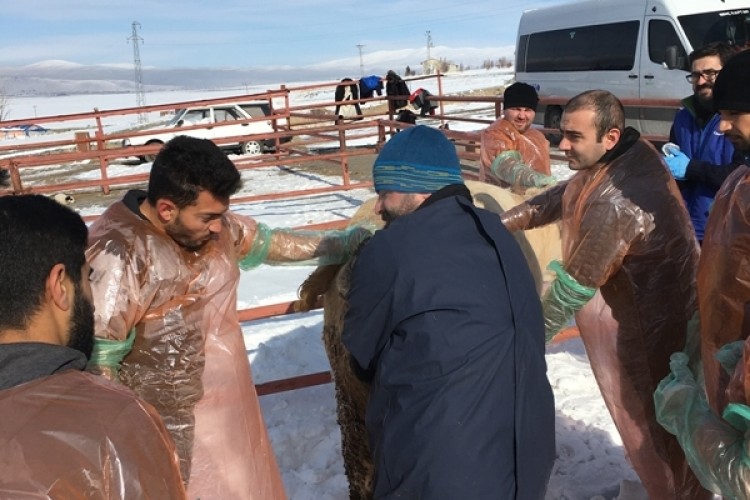 Kars Bölgesi VHO’nun Bakanlık Onaylı Suni Tohumlama Kursu Başladı