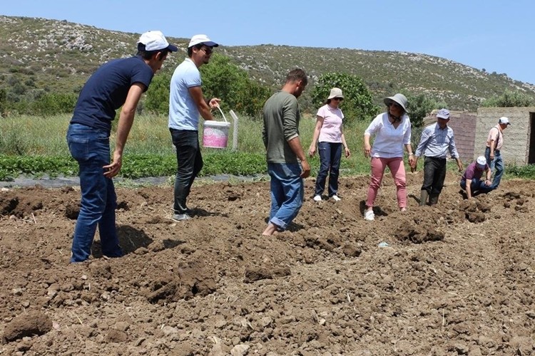 Büyükşehir'den bu kez "kuşkonmaz desteği" geldi