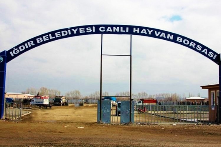 Şap hastalığı paniği, ‘Canlı Hayvan Borsası’ kapatıldı